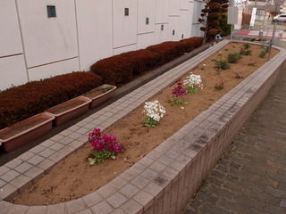P3180121.JPG