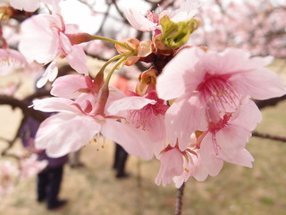 P3180668.JPG