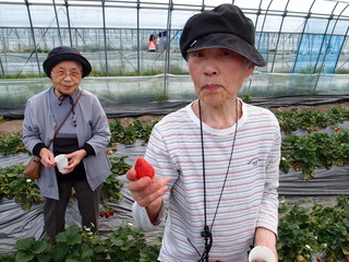 P4160165.JPG