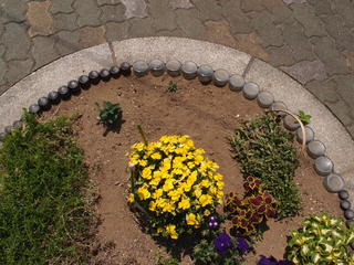P6100265.JPG