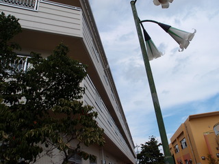 P7271070.JPG